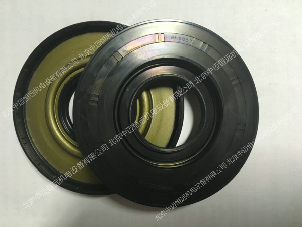 NOK BH6657-E0 油封