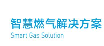 Smart Gas Solution